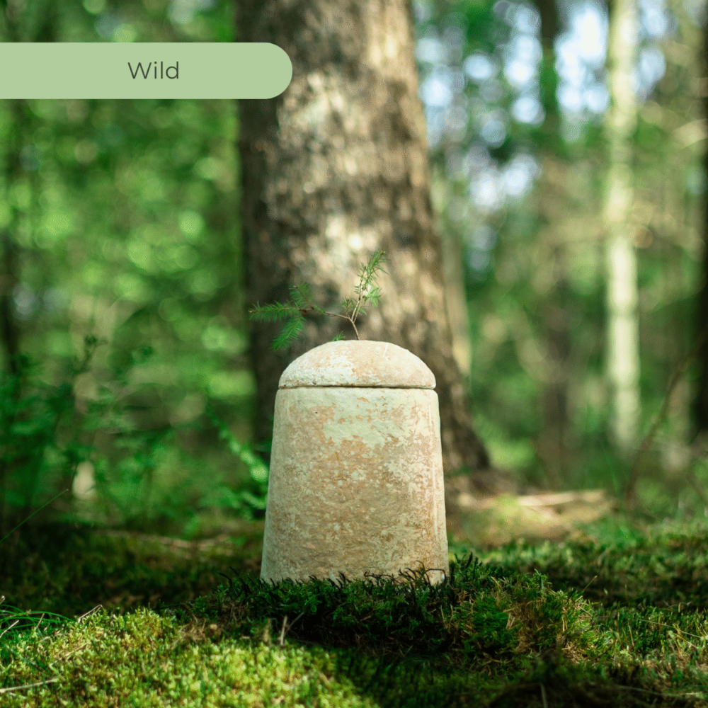 Loop EarthRise™ urn