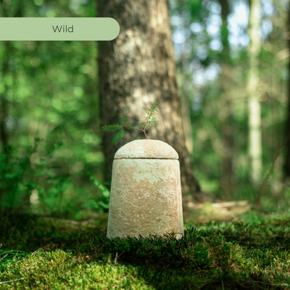 Loop EarthRise™ urn