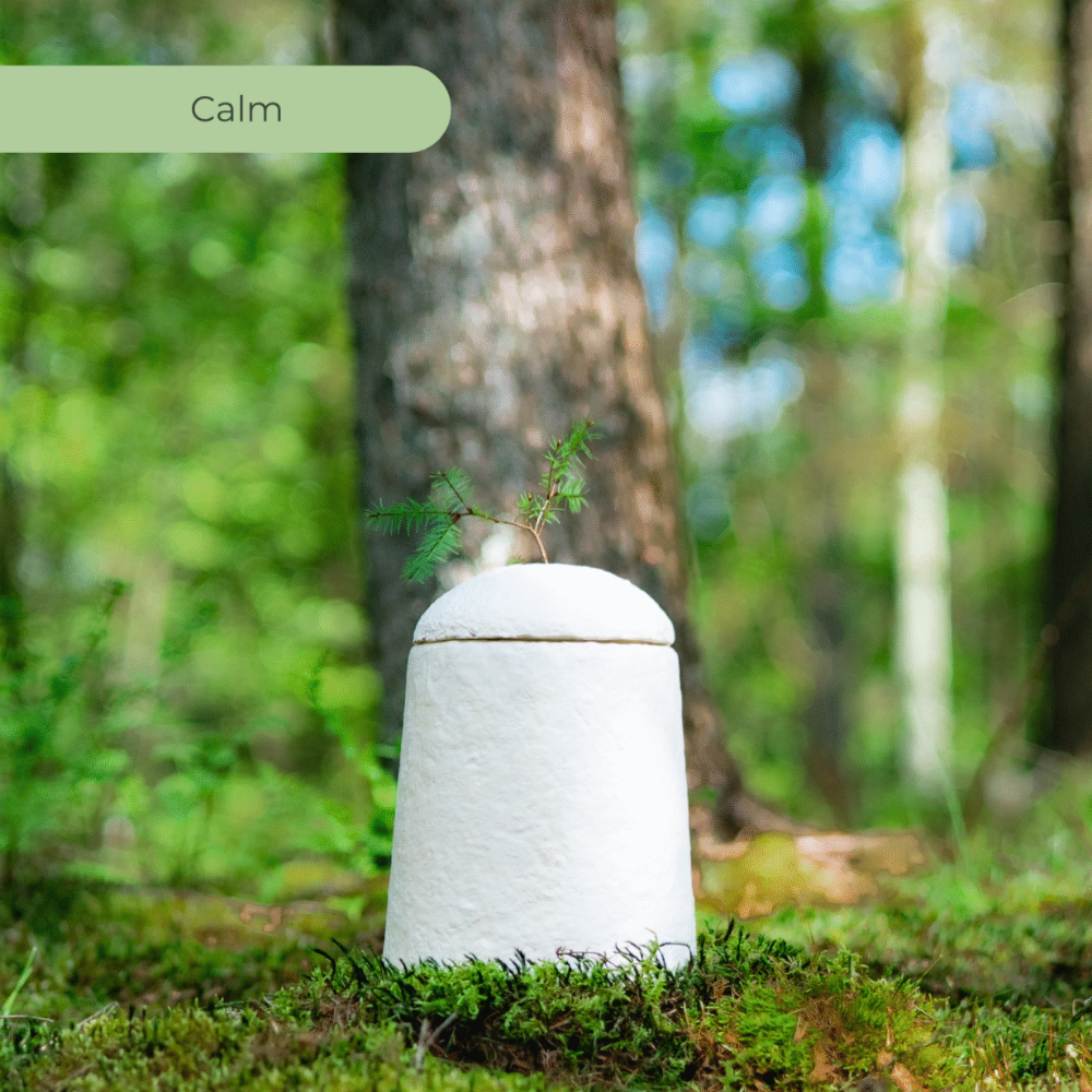 Loop EarthRise™ urn