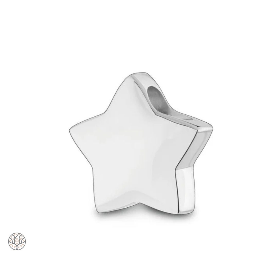 Atlantis Memorial ashanger ster