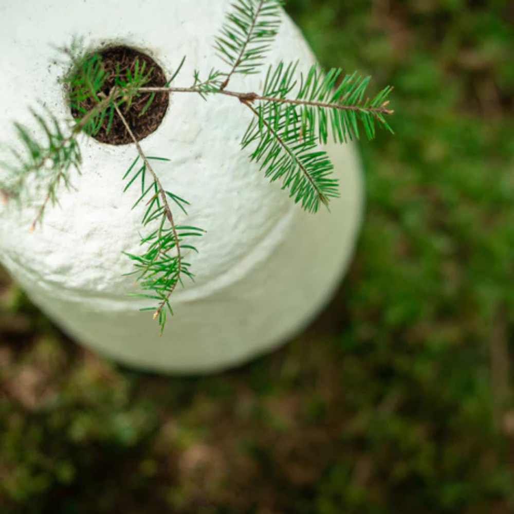 Loop EarthRise™ urn